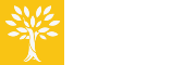 ORGANIGRAMA